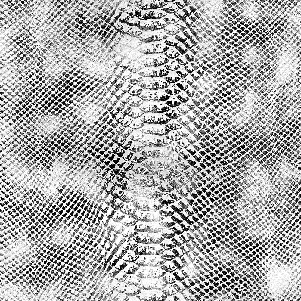 C2